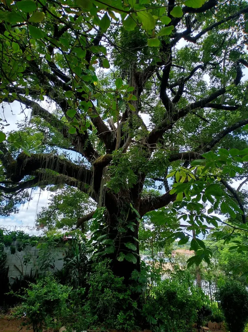 Flat roof repair project in Tampa, Florida