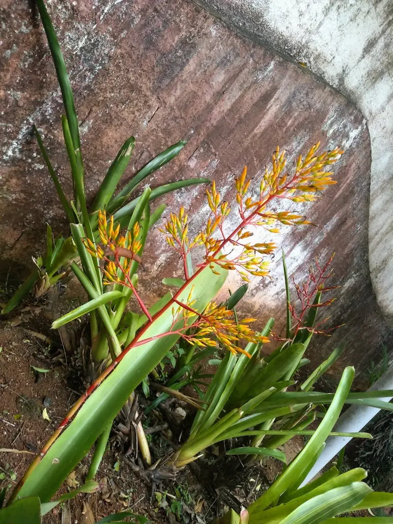 Complete roof replacement project in Jacksonville, Florida